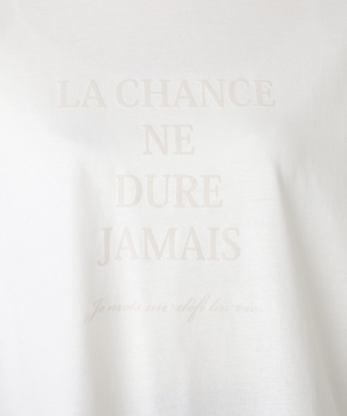 GALLORIA（ギャローリア）の「フロッキーロゴプリントTシャツ（Tシャツ/カットソー・レディース・チャコールグレー/ホワイト・S/M/L/LL）」の9枚目の写真