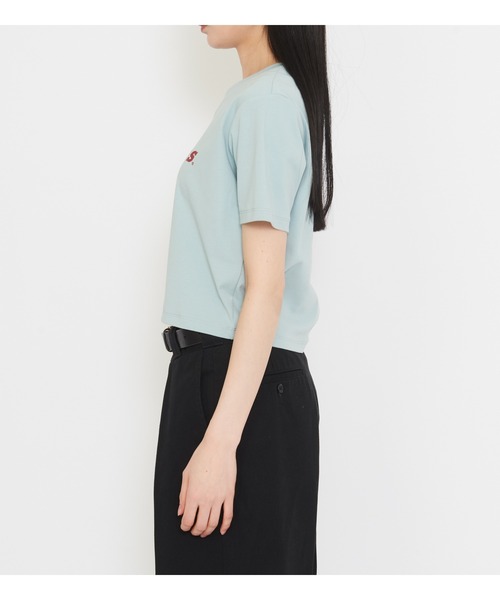 Dickies(ディッキーズ)の「ラメロゴ コンパクトTシャツ(Tシャツ/カットソー・レディース・イエロー系その他/ブルー・MEDIUM/SMALL)」の13枚目の写真