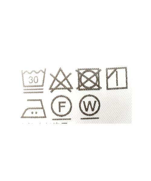 Ray BEAMS（レイビームス）の「RBS / バルーン スリーブ ブラウス（シャツ/ブラウス・レディース・ホワイト/ブラック・ONE SIZE）」の22枚目の写真