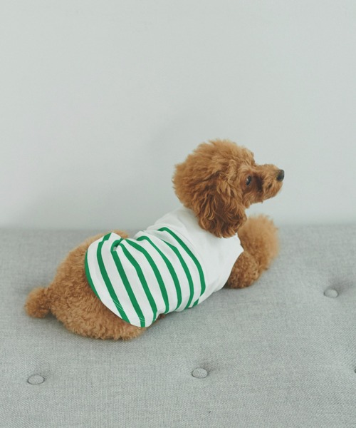 ROPE' PICNIC(ロペピクニック)の「【DOG】リンクコーデ/パネルボーダープルオーバー(ペットウェア・レディース・サックスブルー/グリーン/ピンク系その他2・M size/S/M/L)」の2枚目の写真