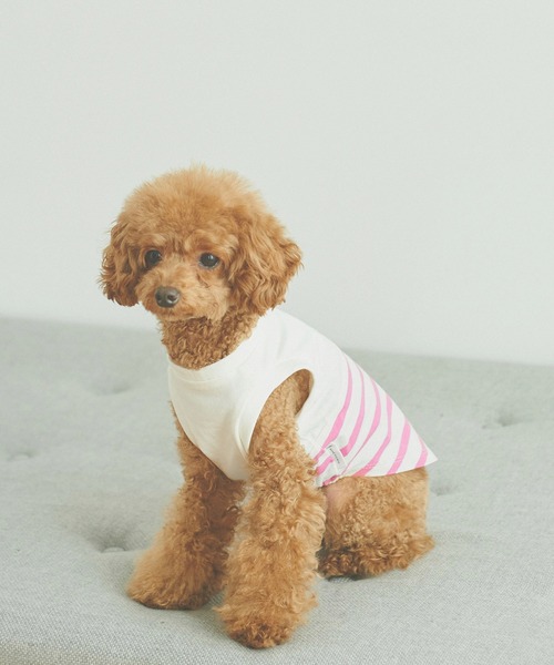 ROPE' PICNIC(ロペピクニック)の「【DOG】リンクコーデ/パネルボーダープルオーバー(ペットウェア・レディース・サックスブルー/グリーン/ピンク系その他2・M size/S/M/L)」の3枚目の写真