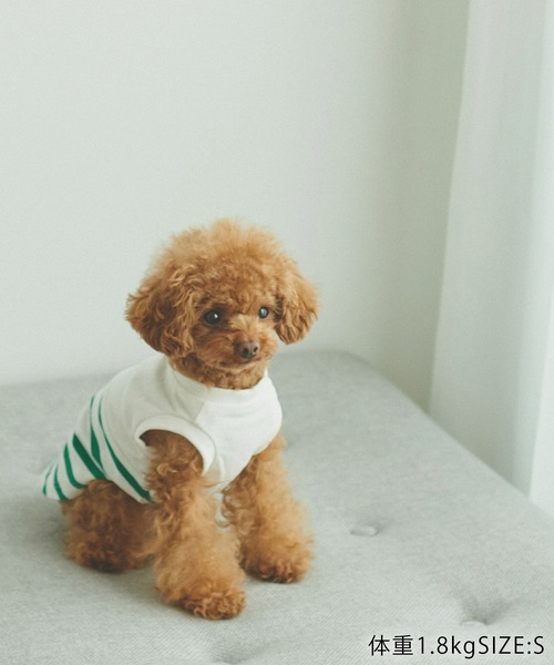 ROPE' PICNIC(ロペピクニック)の「【DOG】リンクコーデ/パネルボーダープルオーバー(ペットウェア・レディース・サックスブルー/グリーン/ピンク系その他2・M size/S/M/L)」の13枚目の写真