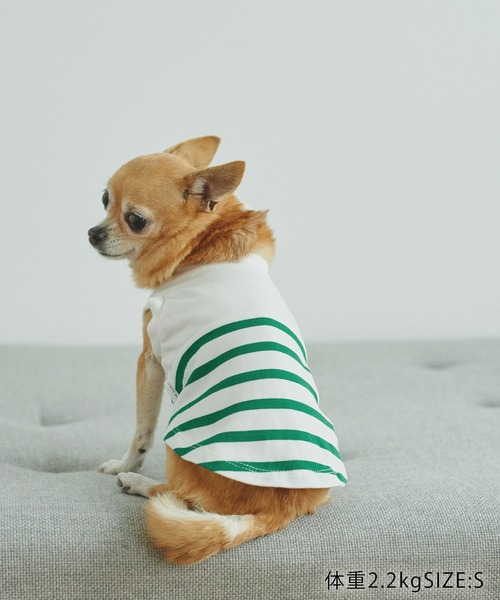 ROPE' PICNIC(ロペピクニック)の「【DOG】リンクコーデ/パネルボーダープルオーバー(ペットウェア・レディース・サックスブルー/グリーン/ピンク系その他2・M size/S/M/L)」の20枚目の写真