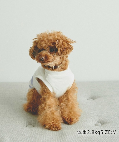 ROPE' PICNIC(ロペピクニック)の「【DOG】リンクコーデ/パネルボーダープルオーバー(ペットウェア・レディース・サックスブルー/グリーン/ピンク系その他2・M size/S/M/L)」の10枚目の写真