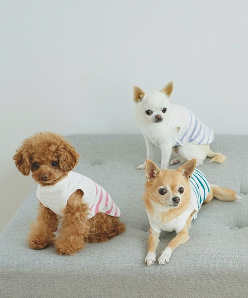 ROPE' PICNIC(ロペピクニック)の「【DOG】リンクコーデ/パネルボーダープルオーバー(ペットウェア・レディース・サックスブルー/グリーン/ピンク系その他2・M size/S/M/L)」の4枚目の写真