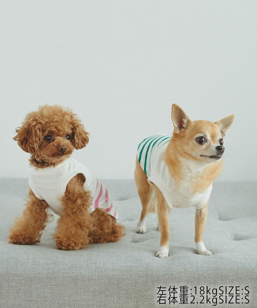ROPE' PICNIC(ロペピクニック)の「【DOG】リンクコーデ/パネルボーダープルオーバー(ペットウェア・レディース・サックスブルー/グリーン/ピンク系その他2・M size/S/M/L)」の7枚目の写真
