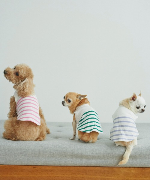 ROPE' PICNIC(ロペピクニック)の「【DOG】リンクコーデ/パネルボーダープルオーバー(ペットウェア・レディース・サックスブルー/グリーン/ピンク系その他2・M size/S/M/L)」の14枚目の写真