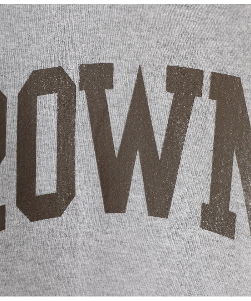 WP（ダブリューピー）の「WP / ダブリューピー：WP×CAMBER BROWNIE PULL PARKA：WP10-PK09[WAX]（パーカー・メンズ・グレー系その他/グリーン系その他/ブルー系その他・XL/XXL/L/XXXL）」の15枚目の写真