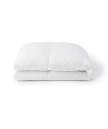 Ǖi(WVEq)̖h_j@Hъ|ӂƂE^r@PTO×QPO(Q)