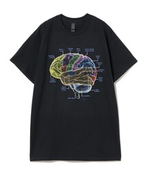 BEAMS BOY | Atlas Screen Printing / Glow Brain Tee(Tシャツ/カットソー)