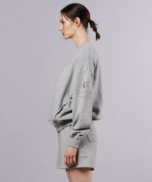 DOUBLE STANDARD CLOTHING(ダブルスタンダードクロージング)の「ロゴ裏毛プルオーバー(Tシャツ/カットソー・レディース・グレー/ブラウン・FREE)」の6枚目の写真