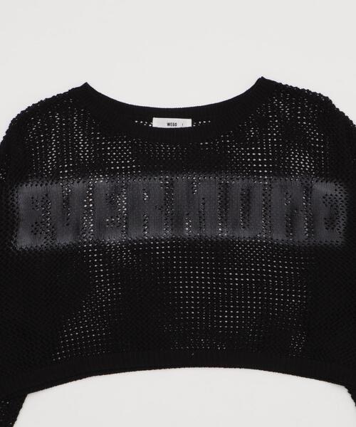 WEGO(ウィゴー)の「WEGO/スプレーロゴジャガードメッシュニット(Tシャツ/カットソー・レディース・ブラック/ホワイト・FREE)」の18枚目の写真