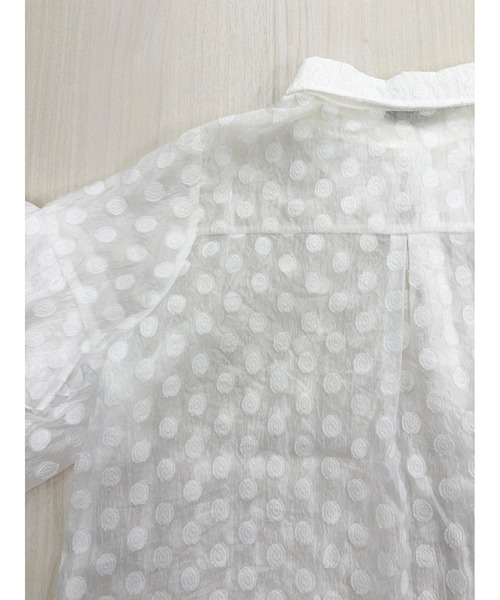 CHhdmn(シーエイチヒデモン)の「シアーブラウス / ドットジャガード フリルスリーブ シースルー シャツ 秋冬(シャツ/ブラウス・レディース・ブラック/ミント/ホワイト/ピンク・M/L)」の8枚目の写真