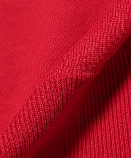 Demi-Luxe BEAMS(デミルクス ビームス)の「【8/6値下げ】AK+1 / モックネック ハーフスリーブ スウェット(スウェット・レディース・レッド/オフホワイト・ONE SIZE)」の19枚目の写真