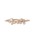SIENA ROSE�i�V�G�i���[�j�́uBIRTH STAR�E�����O[������]�i�����O�j�v�b�C�G���[�S�[���h