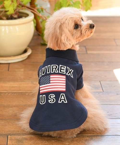 AVIREX(アヴィレックス)の「AVIREX/U.S FLAGポロシャツ(ペットウェア・メンズ・イエロー/ネイビー・S/XS/3M/L/M/3L/3S/2L)」の2枚目の写真