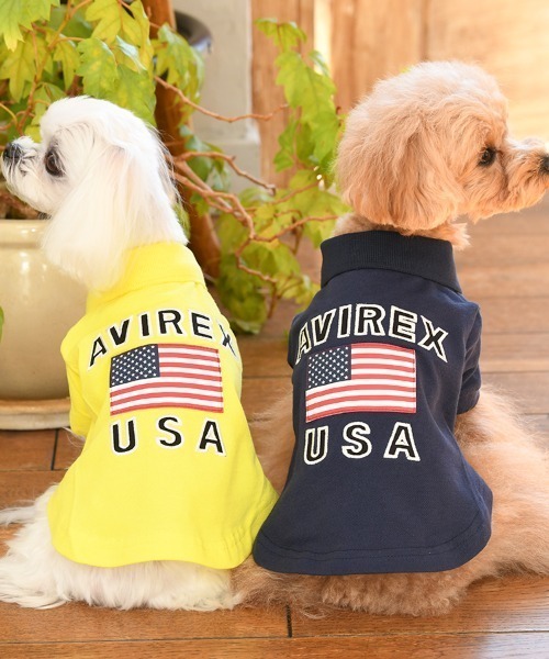AVIREX(アヴィレックス)の「AVIREX/U.S FLAGポロシャツ(ペットウェア・メンズ・イエロー/ネイビー・S/XS/3M/L/M/3L/3S/2L)」の3枚目の写真