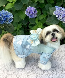 ONEKOSAMA OINUSAMA(IlRT})̃ybgas߁t(t@Ȃ)(ybgEFA)