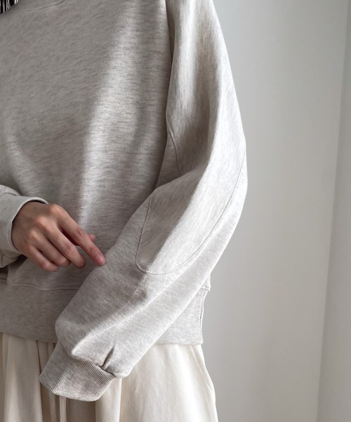 CANAL JEAN（キャナルジーン）の「El mar　コンパクト裏毛クルーネックトレーナー（スウェット・レディース・ブラック/ネイビー/オートミール/セージグリーン・ONE SIZE）」の19枚目の写真