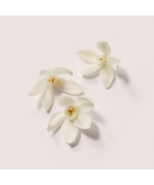 LAURA MERCIER（ローラメルシエ）の「販売終了ストローク　オブ　フォーチューン　セラム　ボディクリーム　トリオ（ボディケアキット/ギフトセット・レディース・アンバーバニラ・FREE）」の7枚目の写真