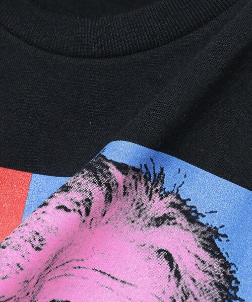 Atlas Screen Printing / Einstein Tee（Tシャツ/カットソー