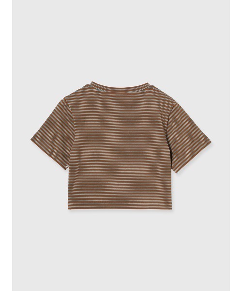 EIMY ISTOIRE（エイミーイストワール）の「eimyボーダー Tシャツ（Tシャツ/カットソー・レディース・ブラウン/ピンク/ブラック・F）」の14枚目の写真