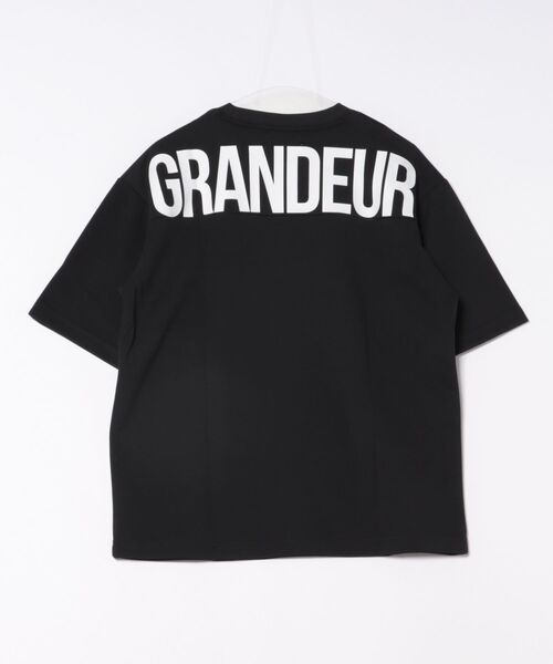 VIRTUOUS(バーチャス)の「【VIRTUOUS/バーチャス】ポンチブランドロゴ切替半袖Tシャツ(Tシャツ/カットソー・メンズ・ホワイト/ブラック/ベージュ・X-LARGE/LARGE/MEDIUM)」の4枚目の写真