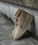 LUGG NAGGiOiOj́uyStnd works/X^h[NXz{vJEU[fU[g`bJu[ciu[cjvbx[W
