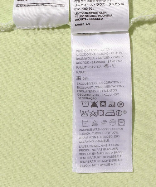 Levi's(リーバイス)の「ARLO GARMENT DYE CREW SHADOW LIME GARME(Tシャツ/カットソー・レディース・グリーン・L/M/S/XS)」の9枚目の写真