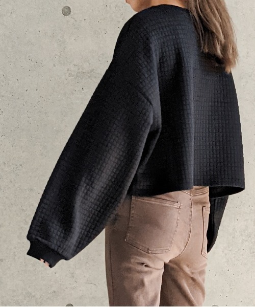 Per sist ence(パーシエンス)の「Per sist ence/パーシエンス キルティング天竺 ショート丈プルオーバー(スウェット・レディース・ホワイト/ブラック/グレー・FREE)」の21枚目の写真