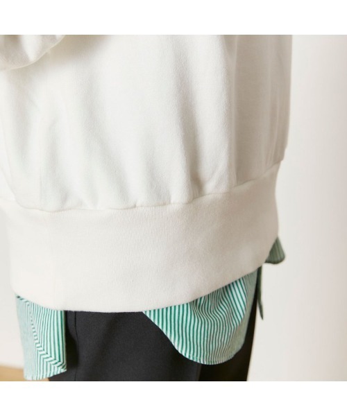 THE SHINZONE（ザ　シンゾーン）の「THE SHINZONE V NECK  SWEAT 21SMSCU13（スウェット・レディース・オフホワイト/グレー/ホワイト・FREE）」の17枚目の写真