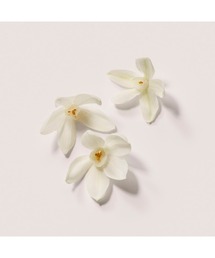 LAURA MERCIER（ローラメルシエ）の「セレスティアル スターライト