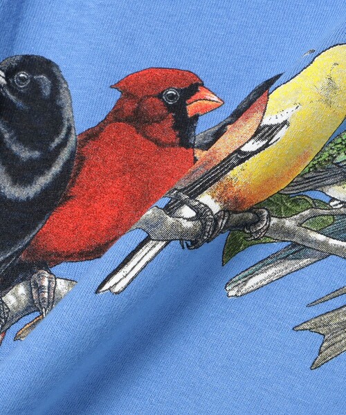 Atlas Screen Printing / Songbird Tee（Tシャツ/カットソー