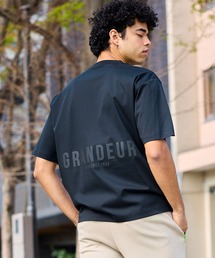 VIRTUOUS（バーチャス）の「【VIRTUOUS/バーチャス】コットンシルケットバックロゴ胸元ワンポイント半袖Tシャツ（Tシャツ/カットソー）」