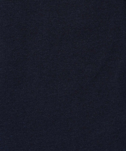Dessin(デッサン)の「【洗える】インディゴ天竺デニム調カットソー(Tシャツ/カットソー・レディース・ライトブルー/ブルー・01/02/03)」の6枚目の写真