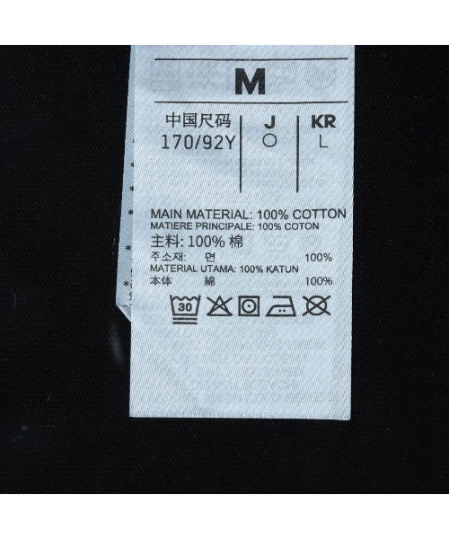 Reebok（リーボック）の「ビッグロゴ Tシャツ / PAUL SS TEE（Tシャツ/カットソー・メンズ・ライトグレー/ホワイト/ブラック・LARGE/MEDIUM/SMALL/X-LARGE）」の13枚目の写真