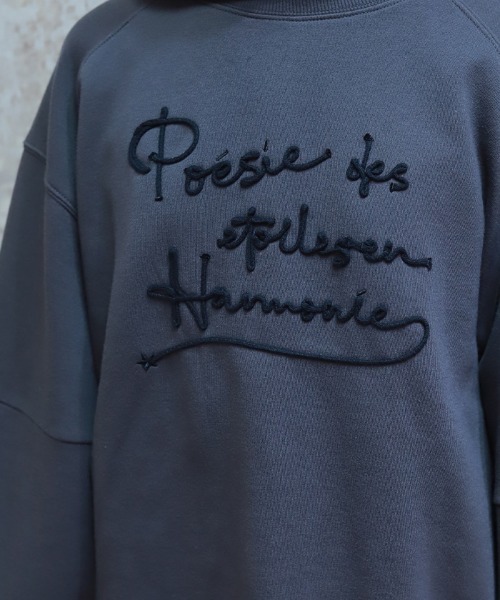 axes femme(アクシーズファム)の「ジップ裏起毛ロゴトレーナー(Tシャツ/カットソー・レディース・チャコール/ダークブラウン/ミント/キナリ・FREE)」の12枚目の写真
