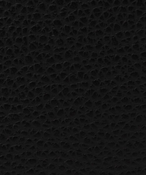 CAFUNE（カフネ）の「■CAFUNE  STANCE バッグ（ハンドバッグ・レディース・ブラック/アッシュブラウン・FREE）」の5枚目の写真