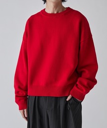 Lui's | クロップドクルーネックニット(ニット/セーター)