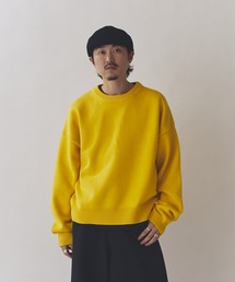 Lui's（ルイス）の「クロップドクルーネックニット（ニット/セーター）」