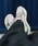 Onitsuka TigeriIjcJ^CK[j́uMOAGE CO / A[W V[I[iXj[J[jvbO[n̑