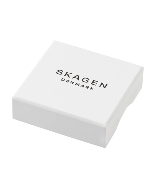 SKAGEN（スカーゲン）の「スカーゲン アクセサリー レディース ピアス ゴールド SKJ1782710（ピアス（両耳用）・レディース・ゴールド・FREE）」の8枚目の写真