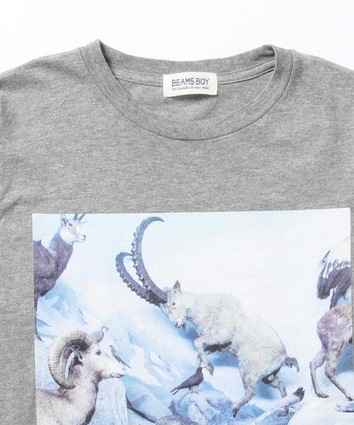 BEAMS BOY（ビームスボーイ）の「masacova! / 7分袖 プリントT（Tシャツ/カットソー・レディース・グレー/ホワイト・ONE SIZE）」の3枚目の写真