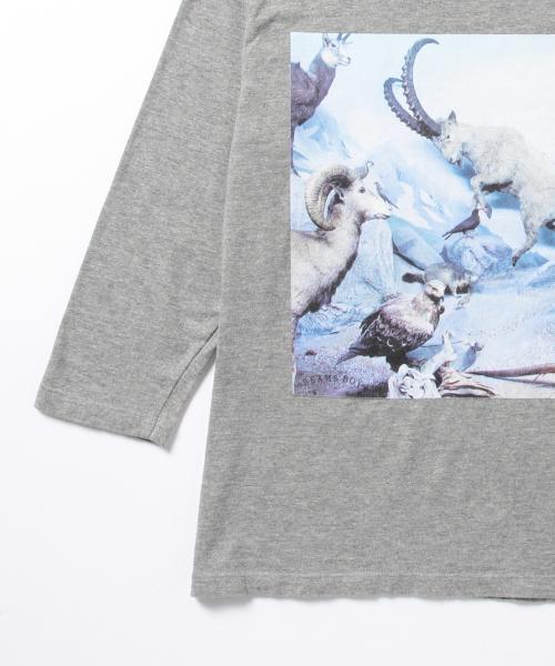 BEAMS BOY（ビームスボーイ）の「masacova! / 7分袖 プリントT（Tシャツ/カットソー・レディース・グレー/ホワイト・ONE SIZE）」の13枚目の写真