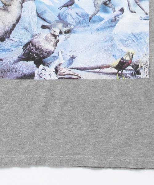 BEAMS BOY（ビームスボーイ）の「masacova! / 7分袖 プリントT（Tシャツ/カットソー・レディース・グレー/ホワイト・ONE SIZE）」の4枚目の写真