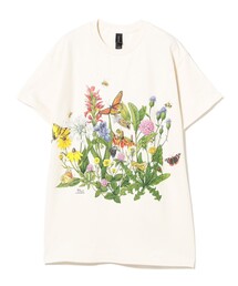 BEAMS BOY(r[X{[C)́yʒzAtlas Screen Printing / Roadside Flowers Tee(TVc/Jbg\[)