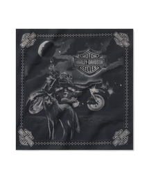 Harley-Davidson(n[[_rbh\)̃[Et [C_[ o_i(o_i/XJ[t)