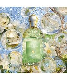 GUERLAIN（ゲラン）の「Guerlain Shalimar Eau de Parfum, 89 mL/ 3.0