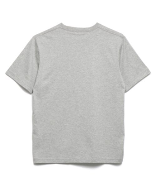 McGREGOR(マックレガー)の「天竺マックベア(ライオン)プリント(Tシャツ/カットソー・メンズ・アイボリー/グレー・LL/L/M)」の8枚目の写真
