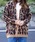 TOWNCRAFT�i�^�E���N���t�g�j�́uTOWNCRAFT / �^�E���N���t�g SHAGGY JACQUARD CARDIGAN�i�J�[�f�B�K��/�{�����j�v�b�u���E���n���̑�